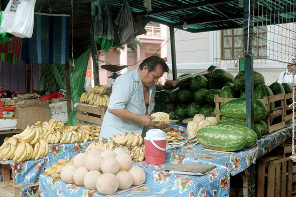 Mérida, Mexique, marché, maïs