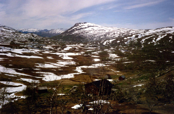 Hardangervidda, Norvège
