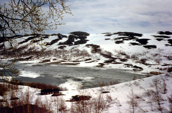 Parc Hardangervidda