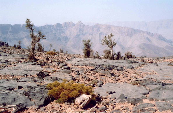 Jabal Chams, Sultanat d'Oman