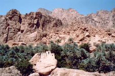 Wadi Tiwi