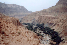 Wadi Tiwi