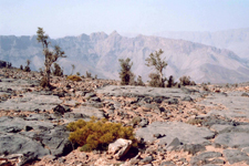 Jabal Chams