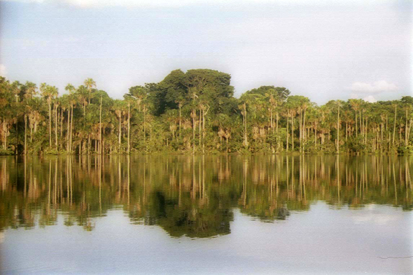Lac Sandoval, Amazonie