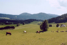 Jura