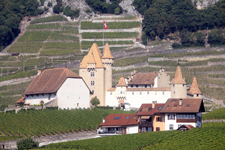 Aigle