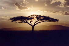 Tanzanie