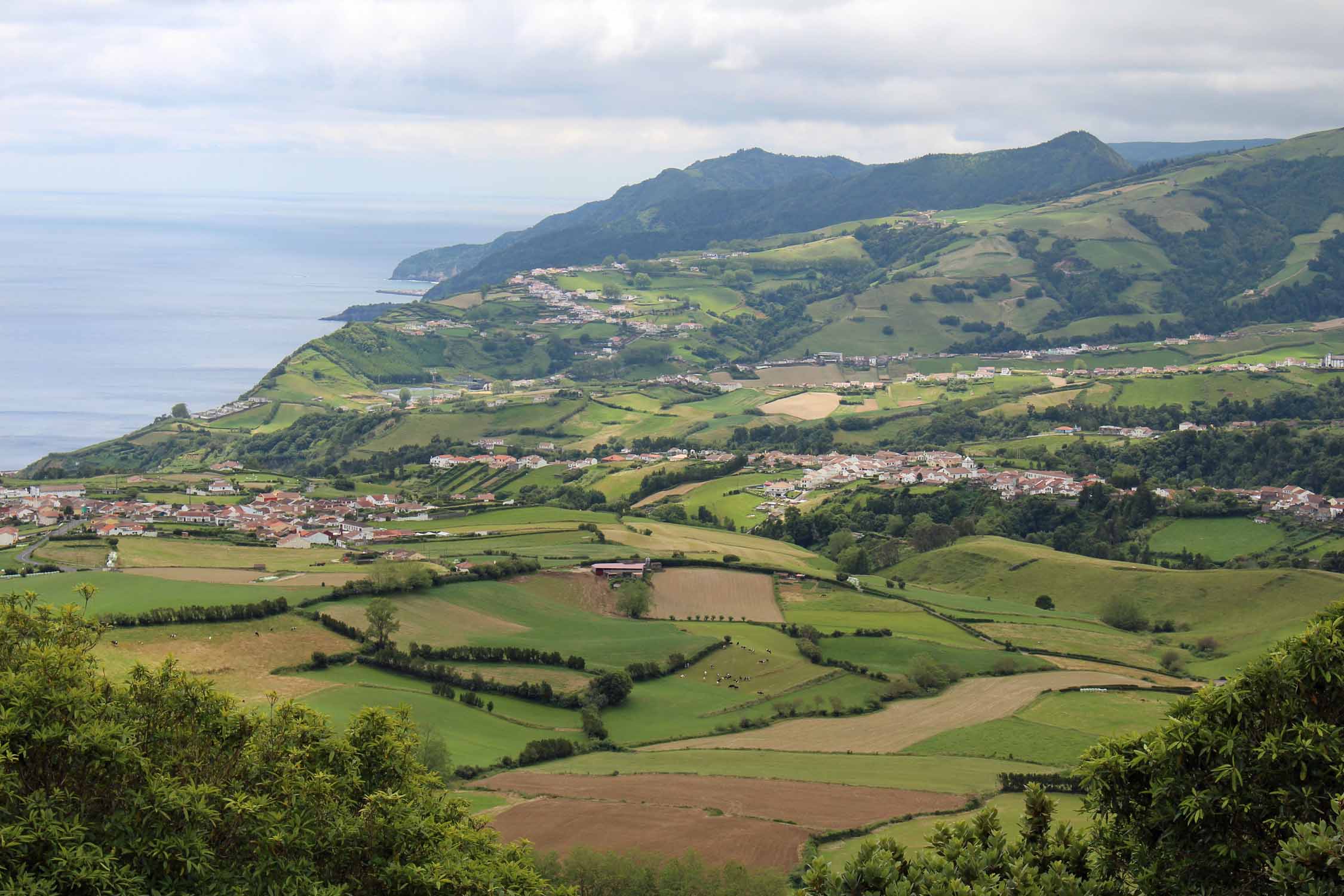 Paysage à Povoação sur l'île de São Miguel, Açores