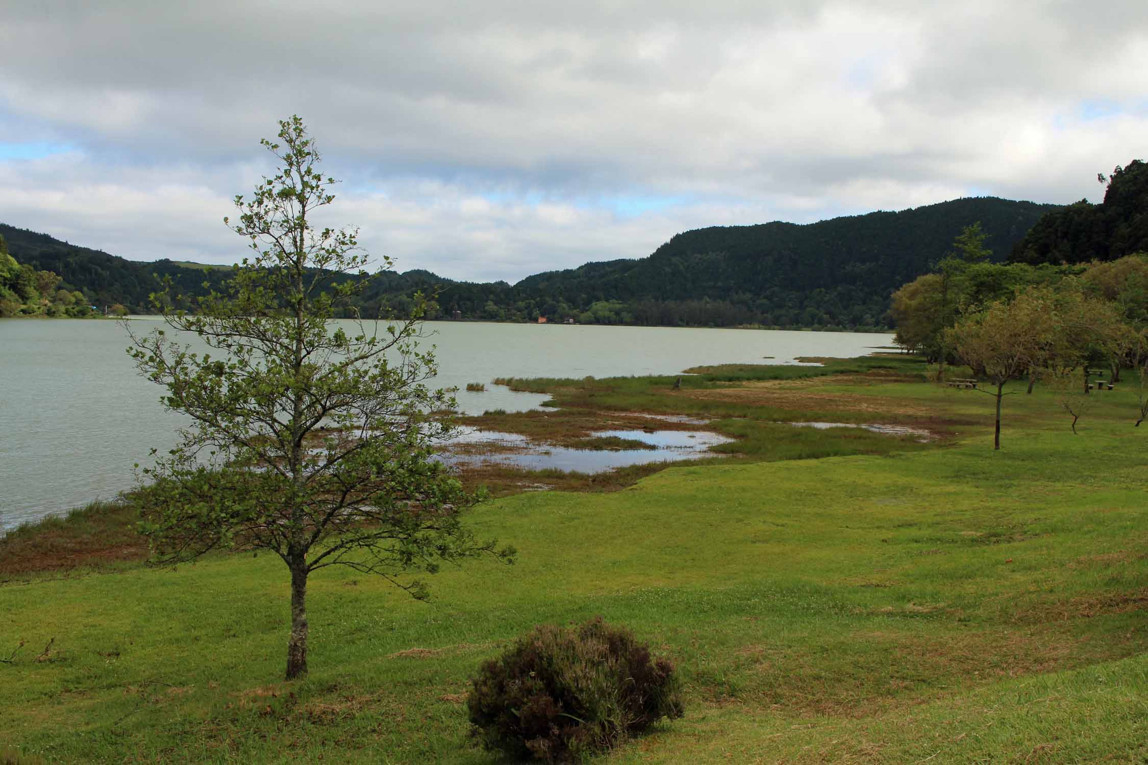 Le lac de Furnas sur l'île de São Miguel, Açores