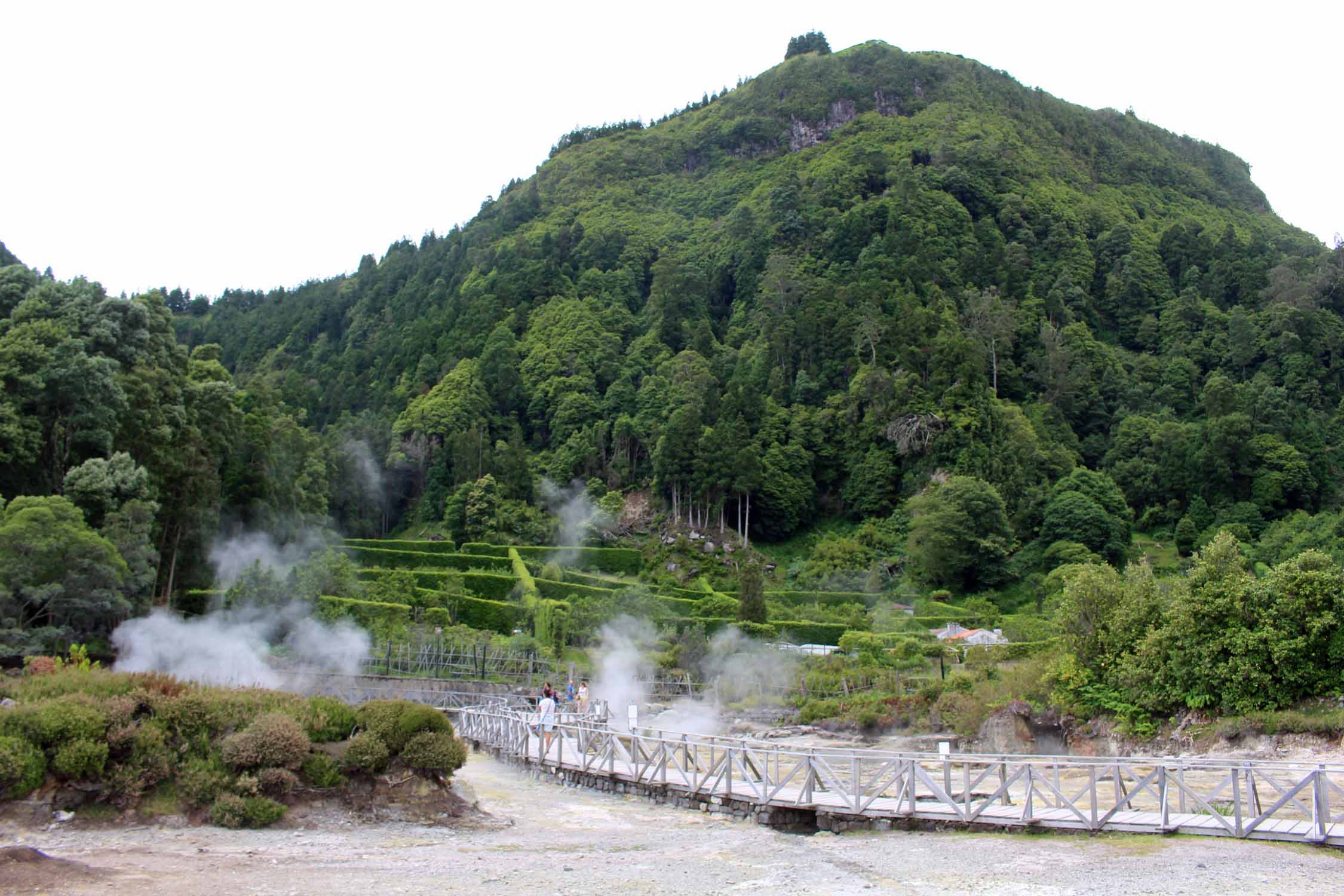 Des champs de fumerolles à Furnas, île de São Miguel, Açores