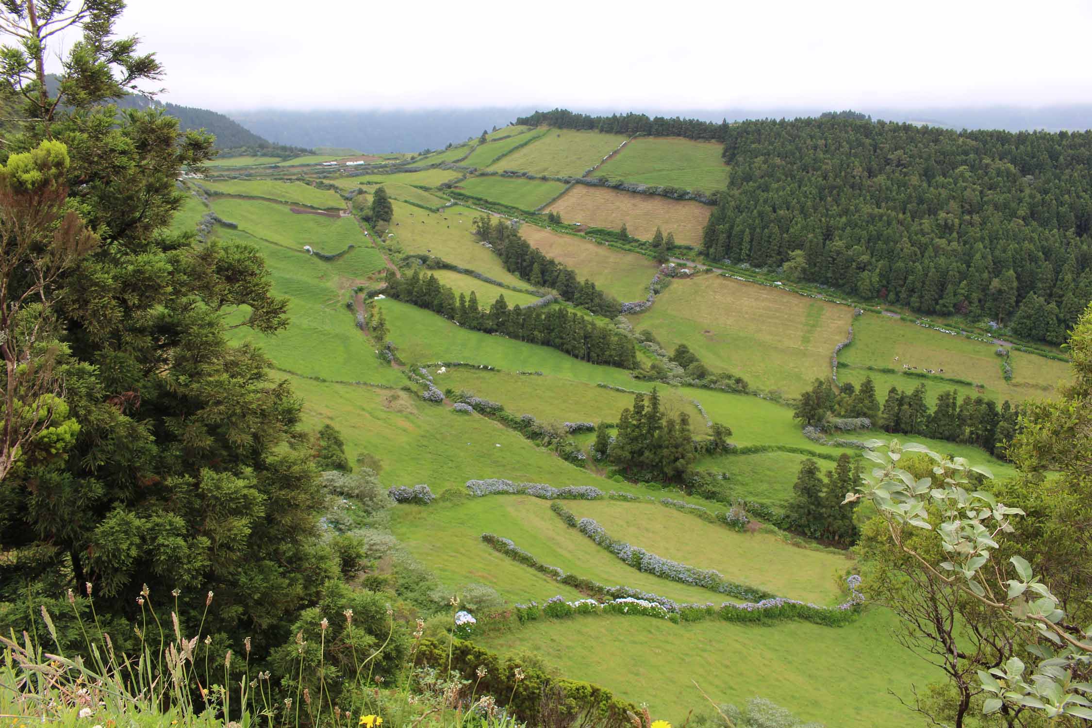 Un superbe paysage de la caldeira de Sete Cidades, São Miguel