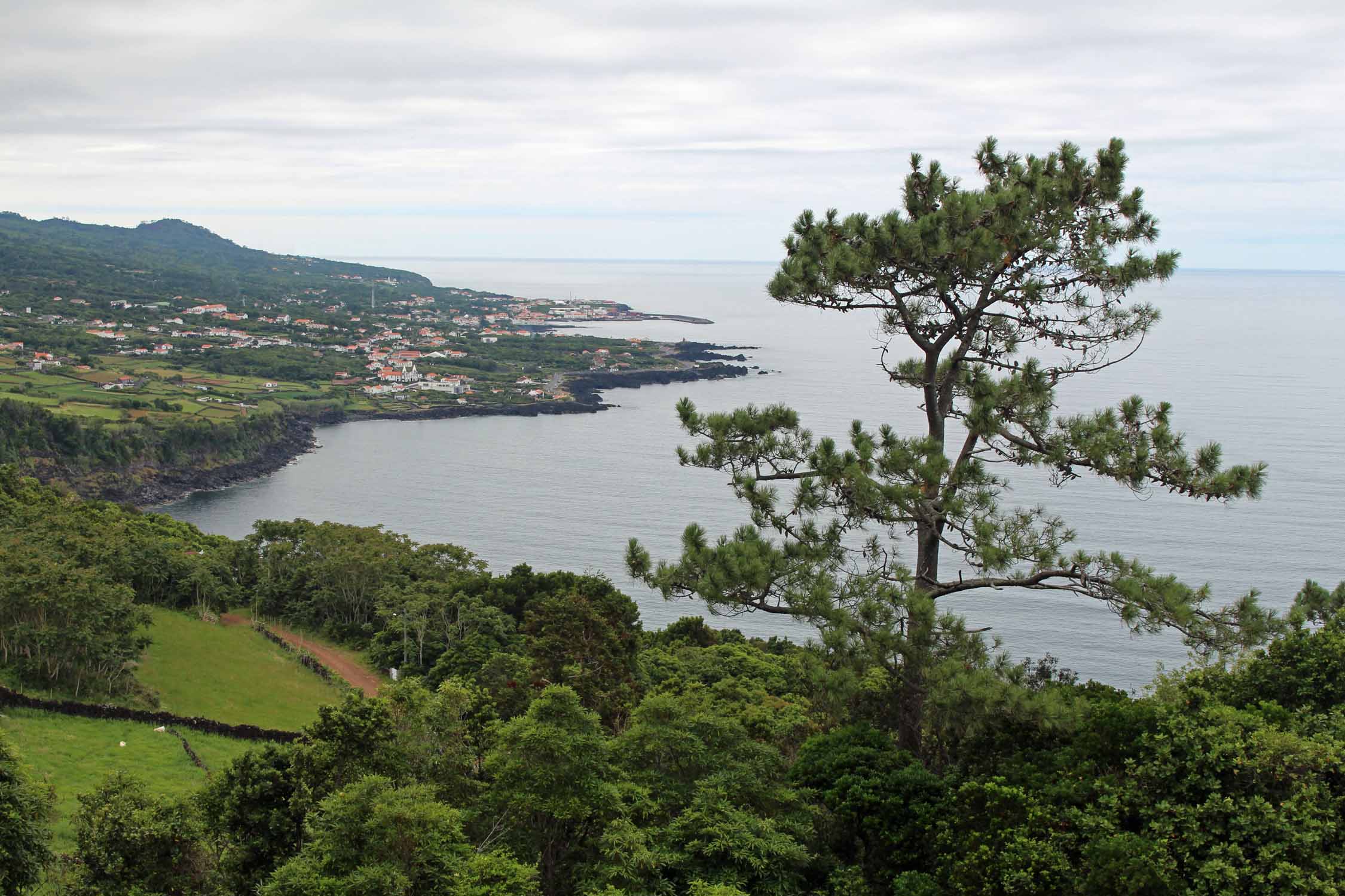 Un joli paysage de la côte nord de l'île de Pico, Açores