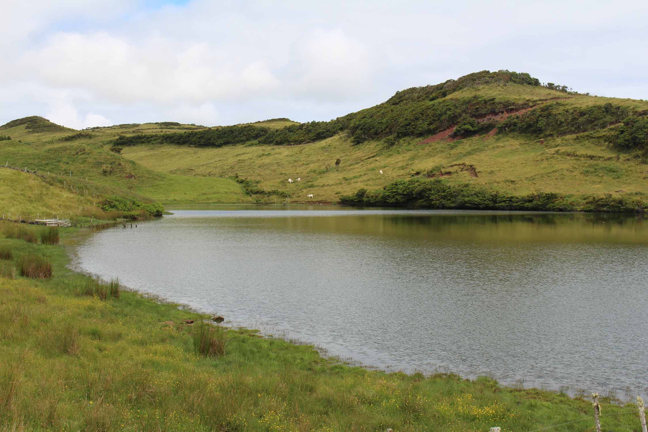 Açores, Île de Pico, lac de Capitão