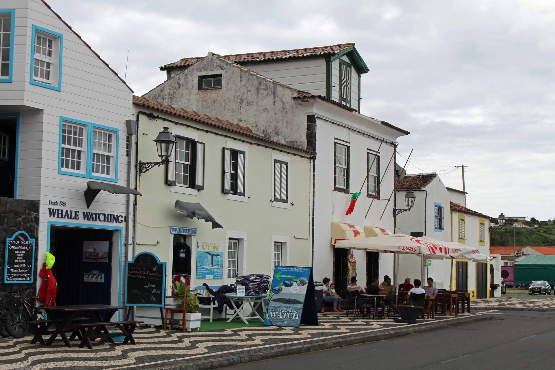 Açores, Île de Pico, Lajes do Pico, baleine