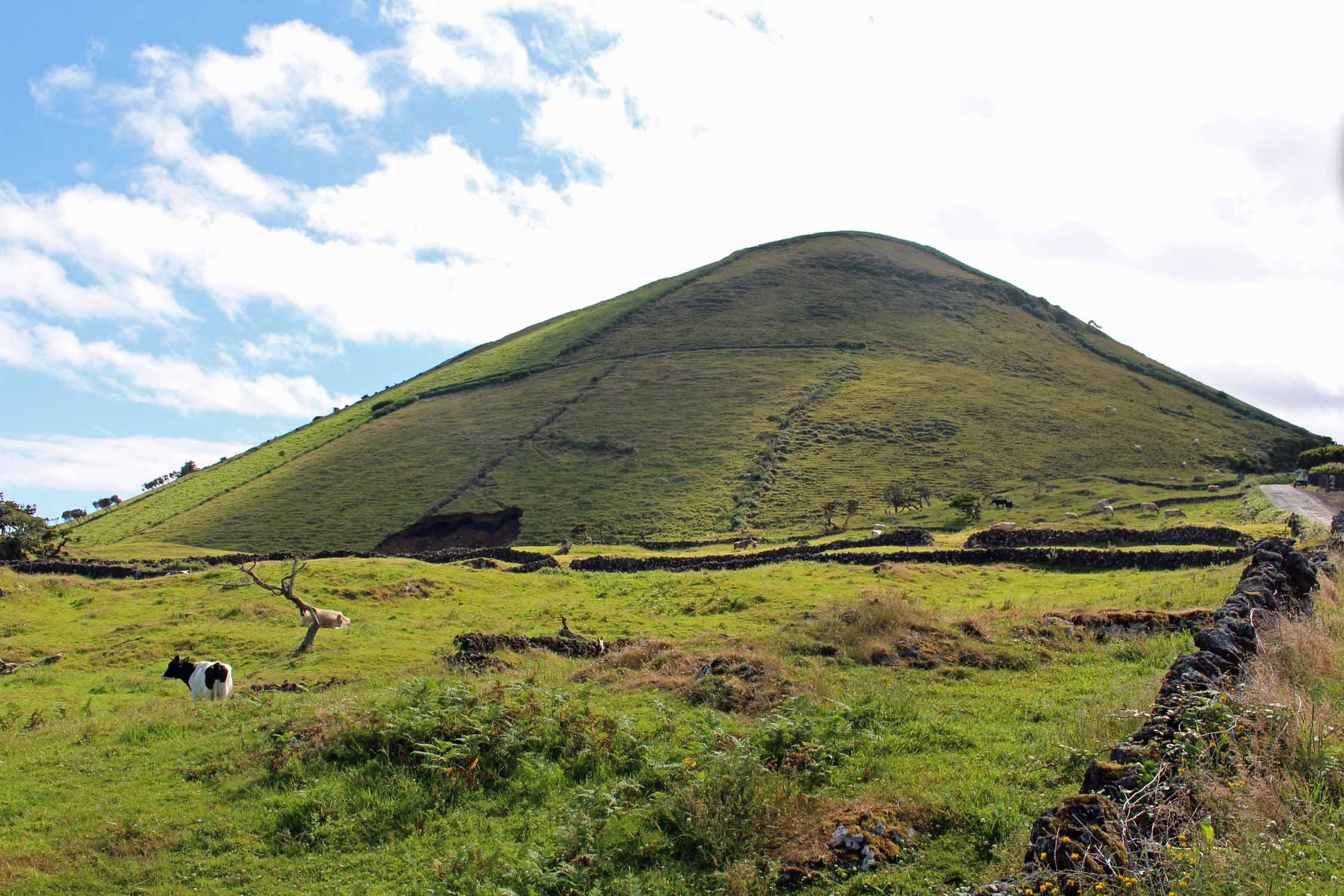 Açores, Île de Pico, paysage est, volcan