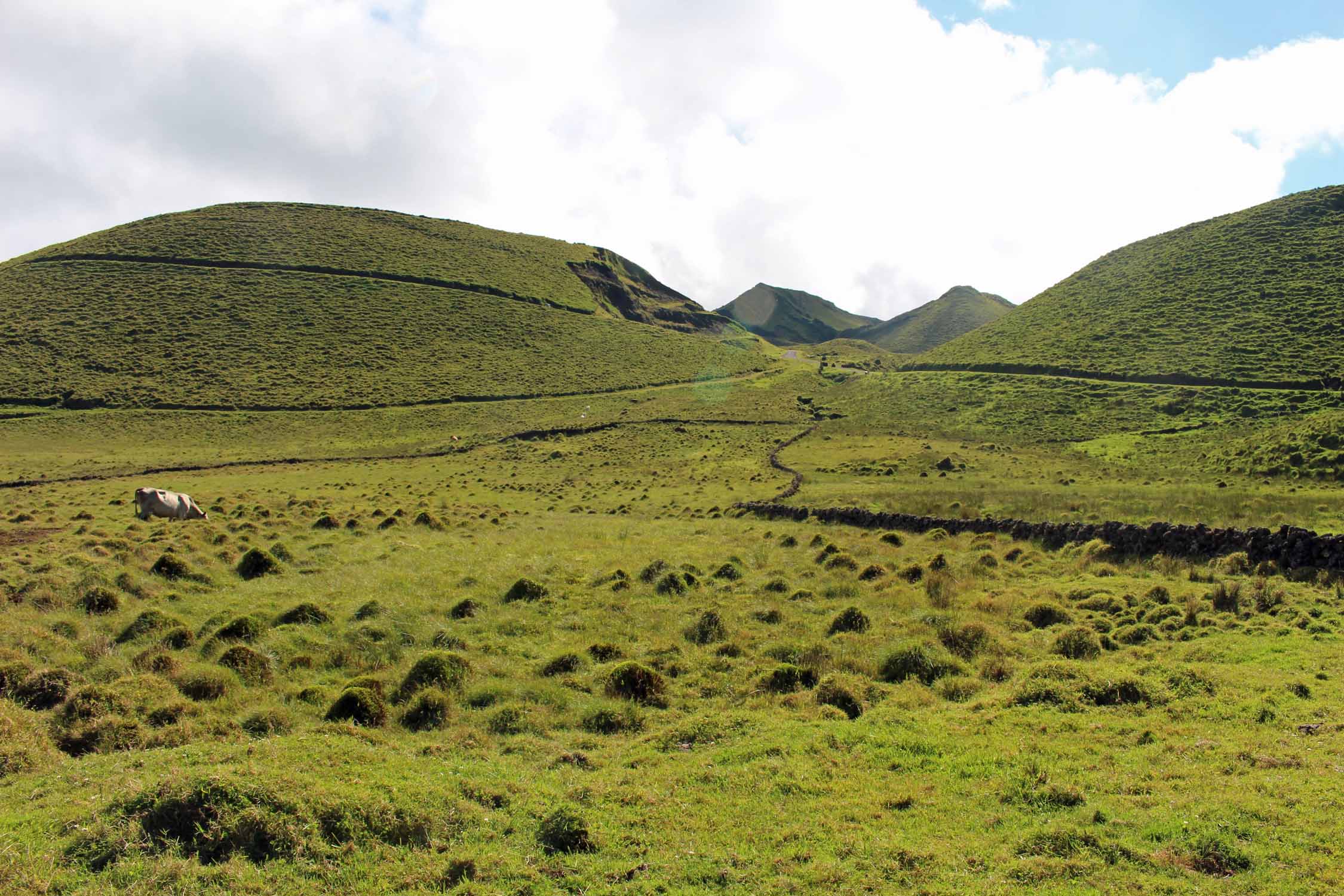 Açores, Île de Pico, paysage, montagne