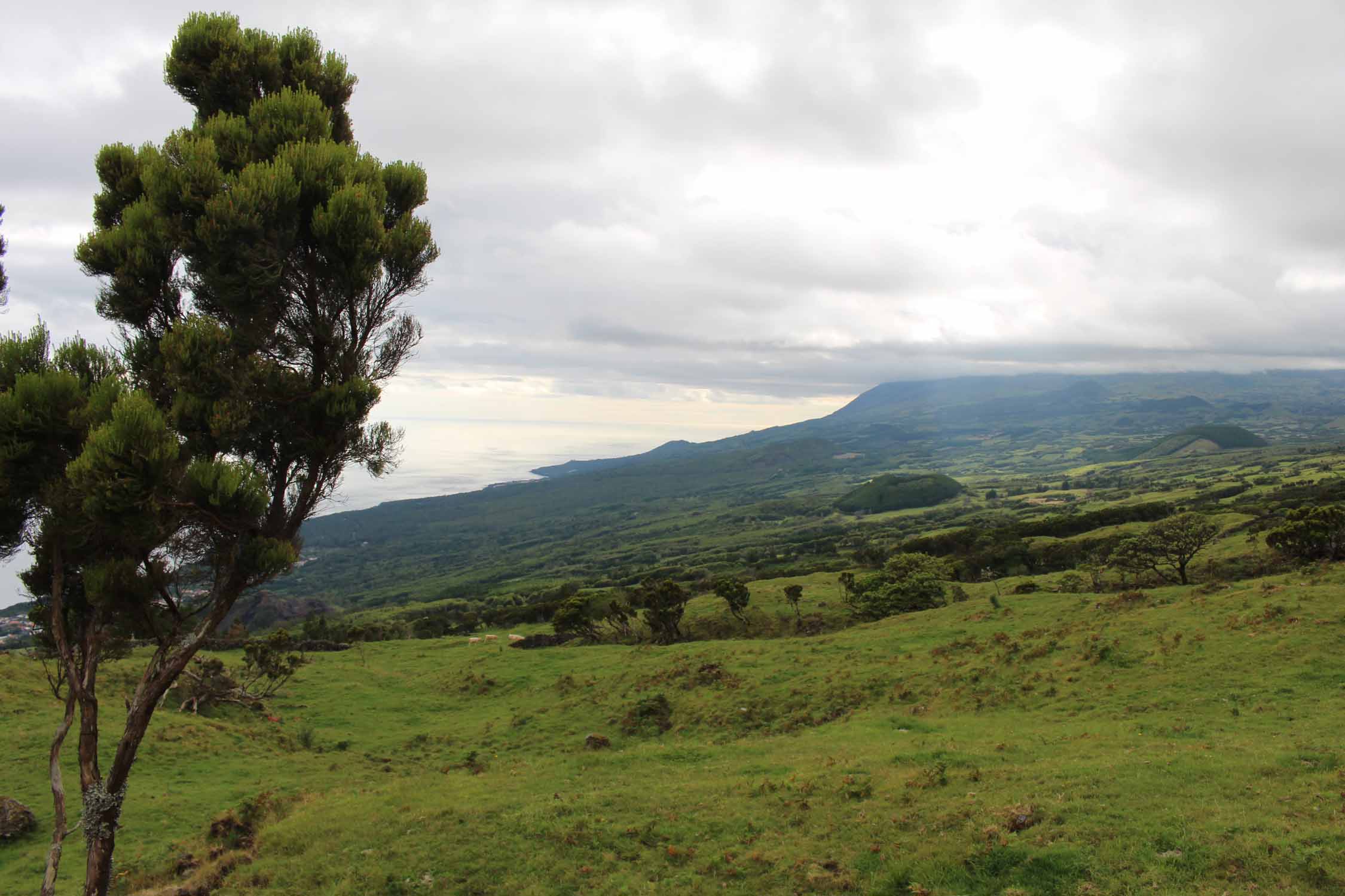 Açores, Île de Pico, paysage, Lajes do Pico, volcan