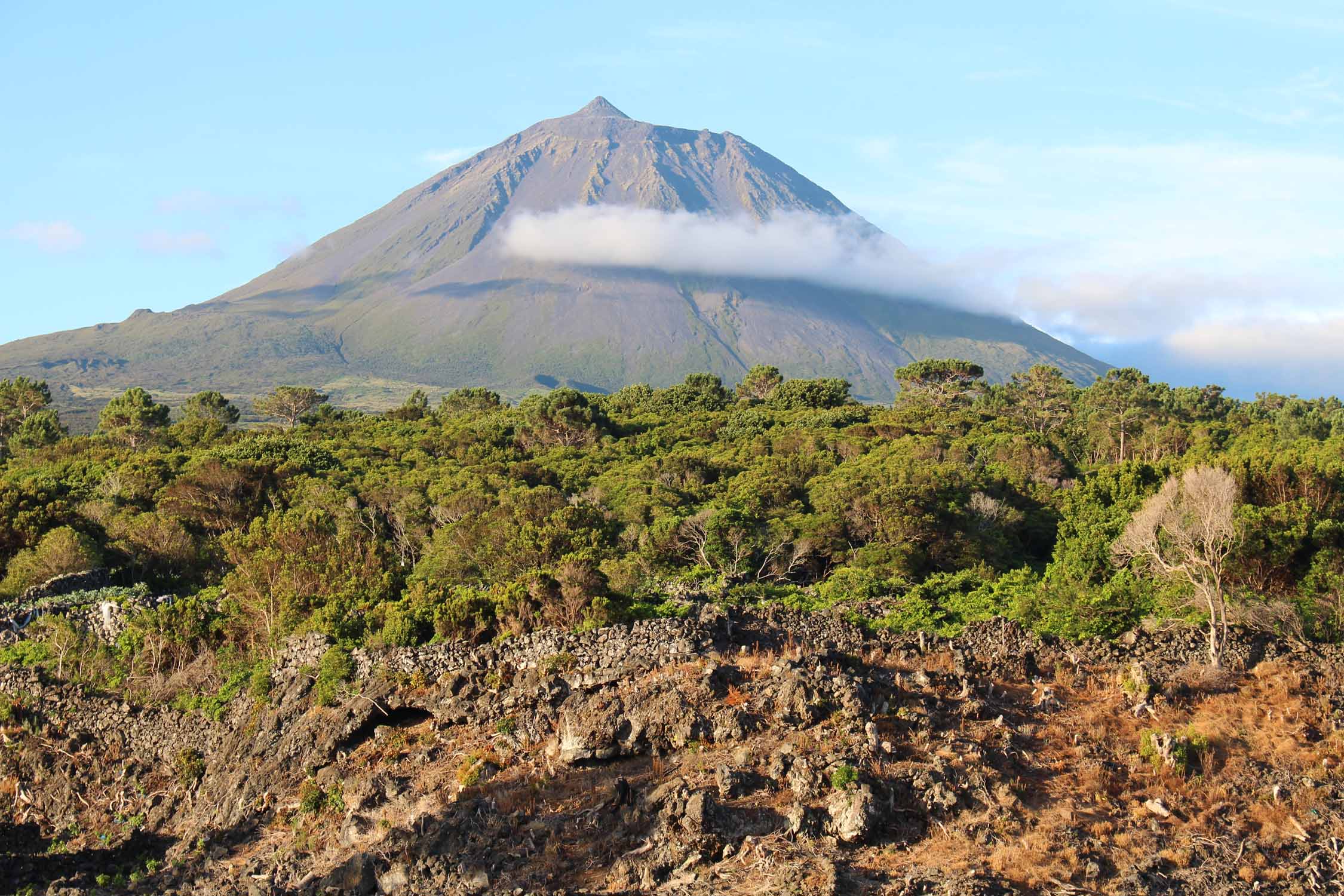 Açores, Île de Pico, volcan Pico, paysage
