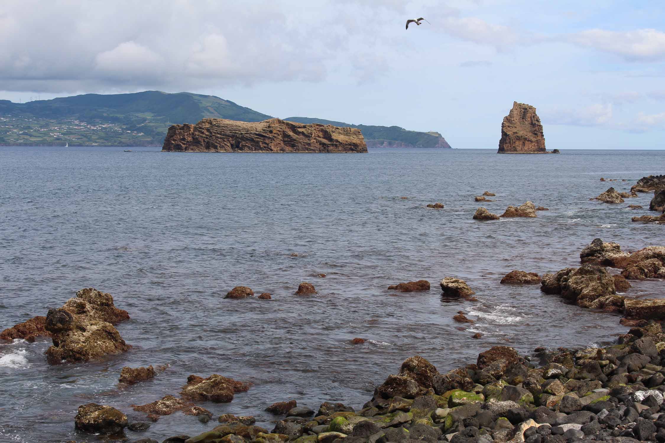 Açores, Île de Pico, ilots Madalena