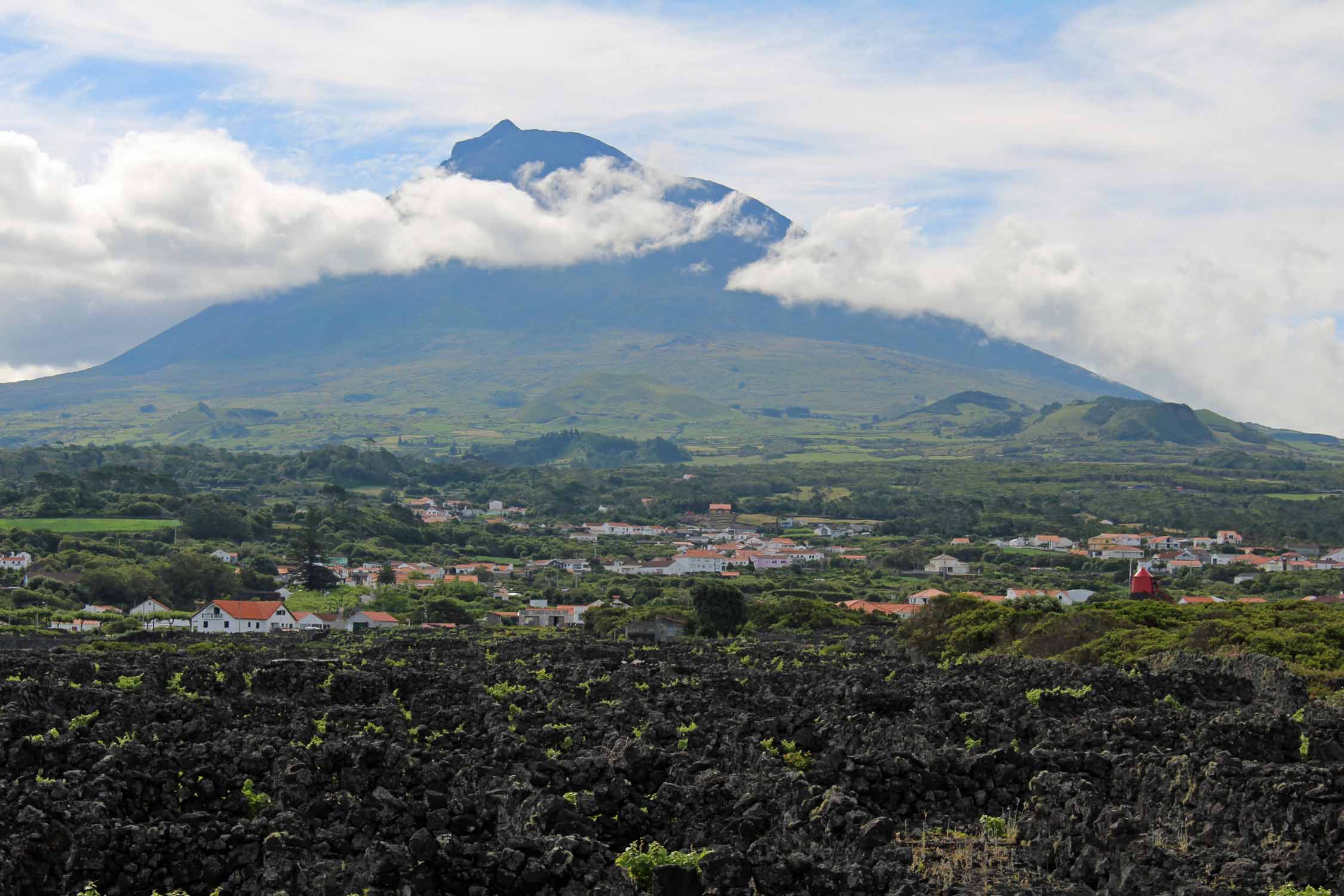 Açores, Île de Pico, vignobles, volcan