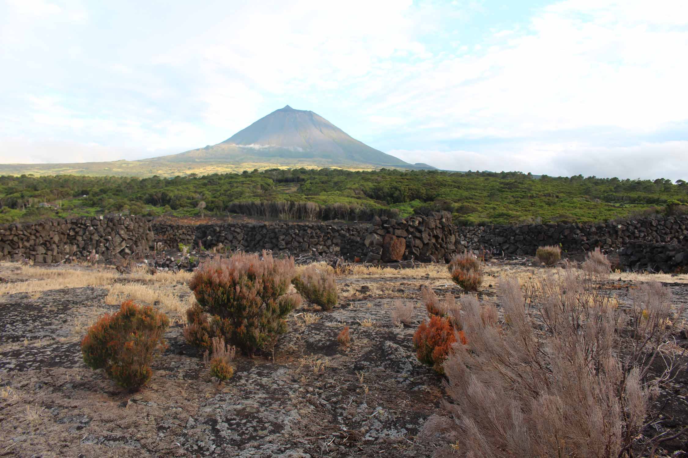 Açores, Île de Pico, volcan de Pico, vue