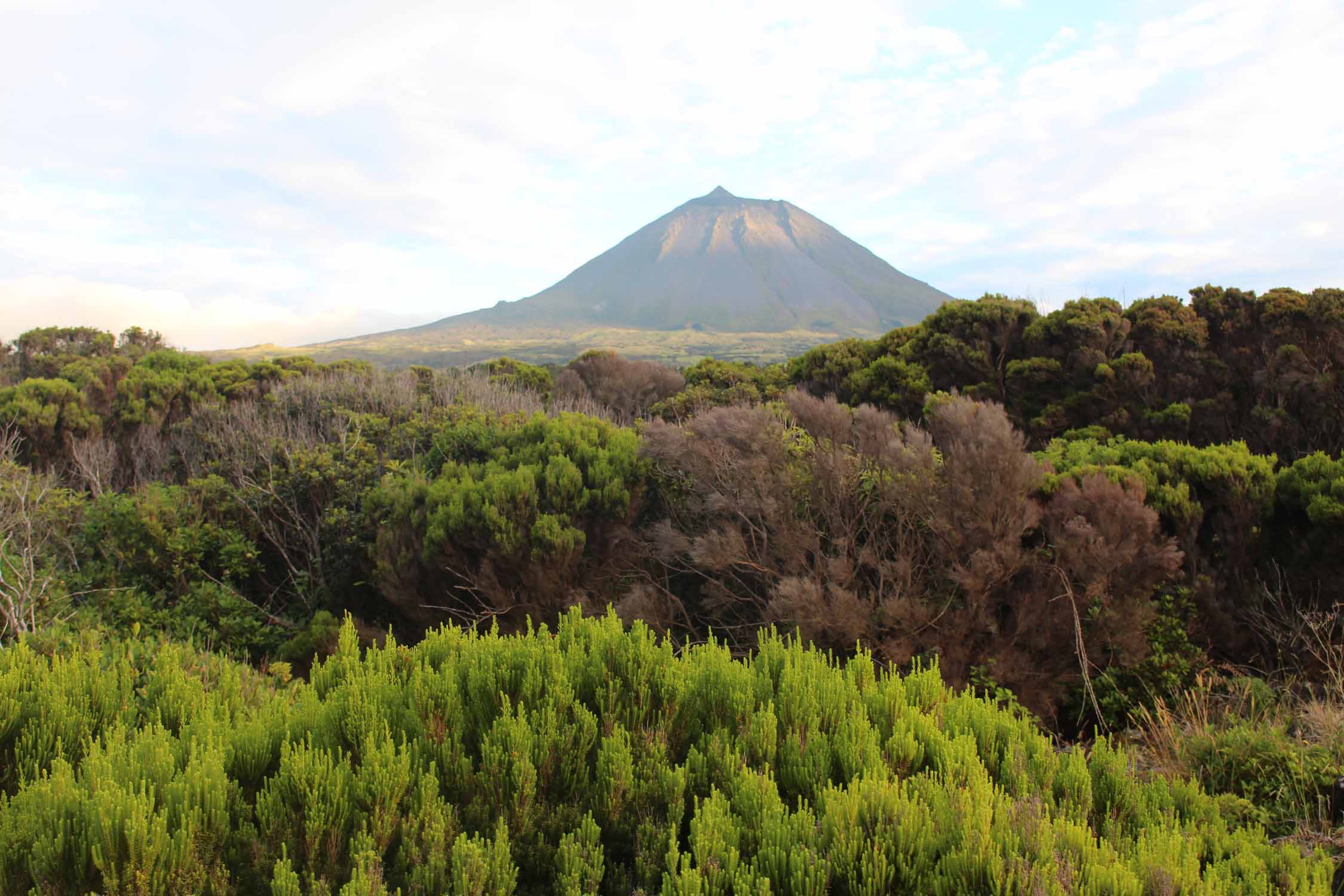 Le volcan de Pico aux Açores