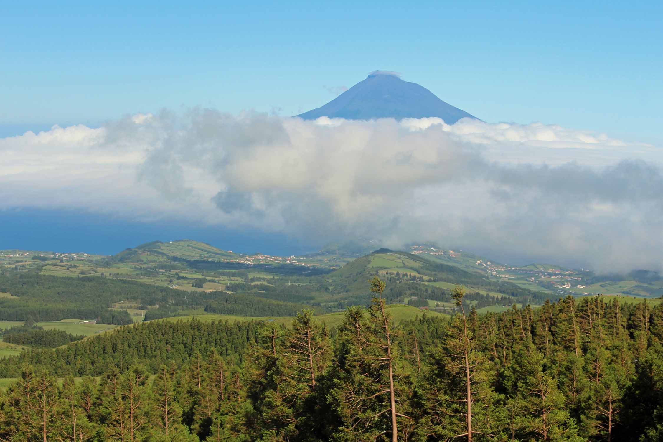 Açores, Île de Faial, vue du volcan Pico