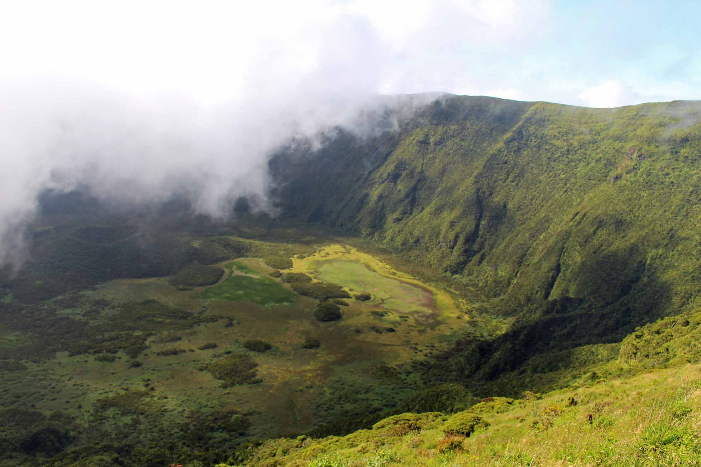 Açores, Île de Faial, caldeira de Faial, paysage