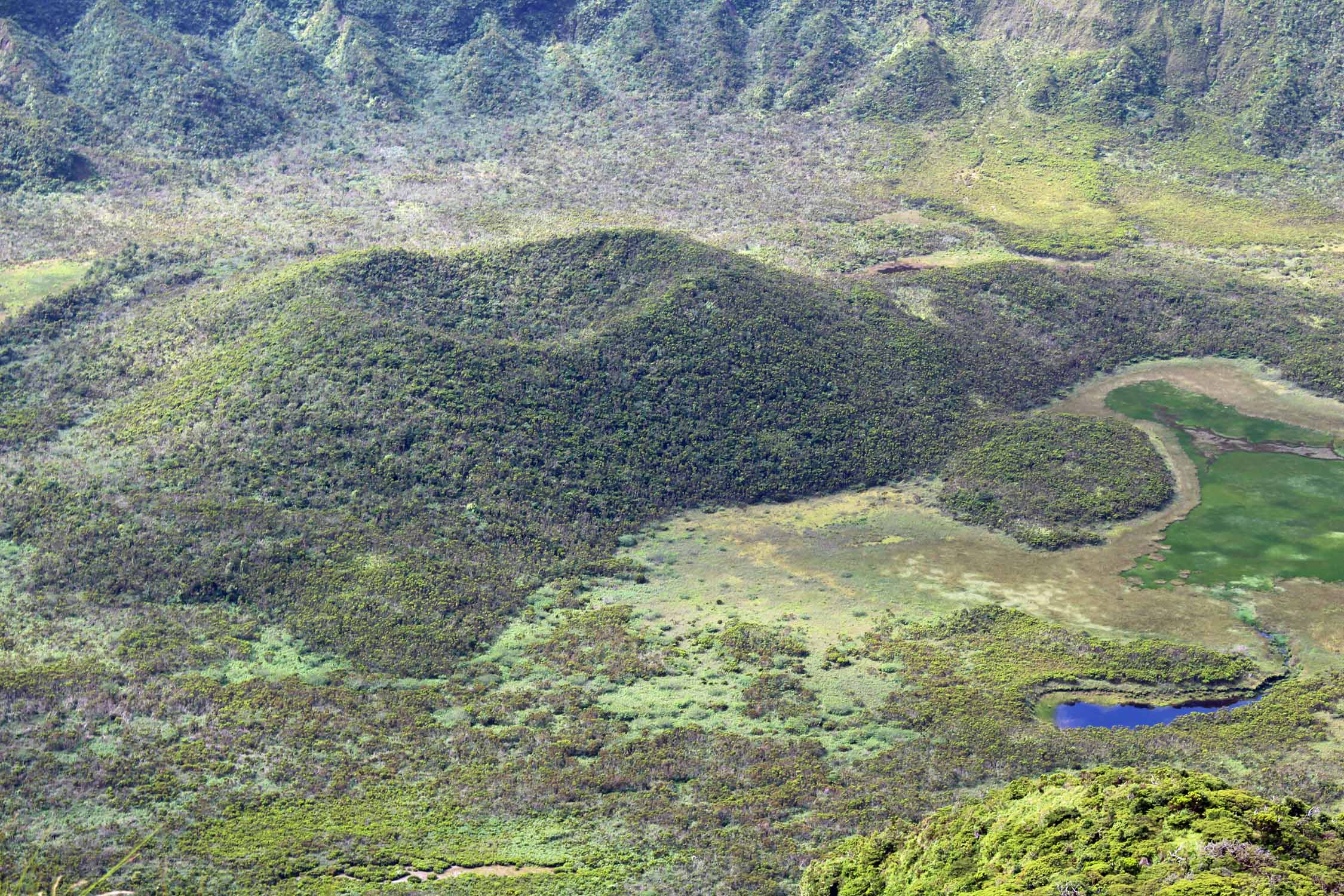 Açores, Île de Faial, caldeira de Faial, volcan