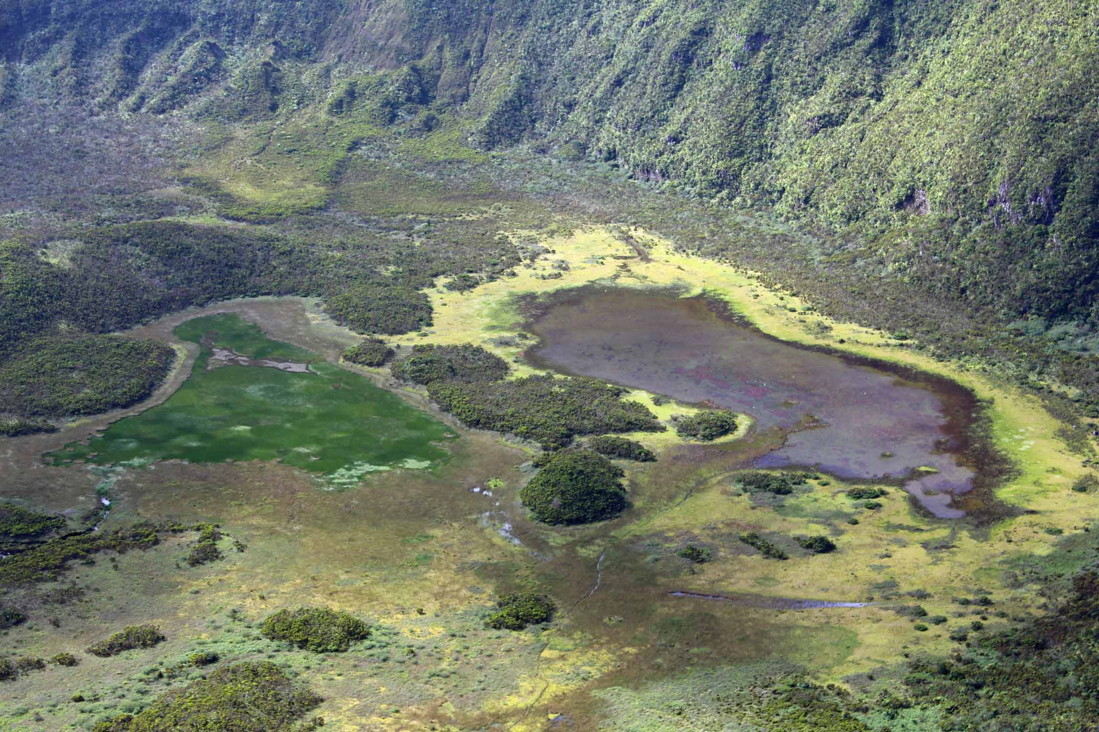 Açores, caldeira de Faial