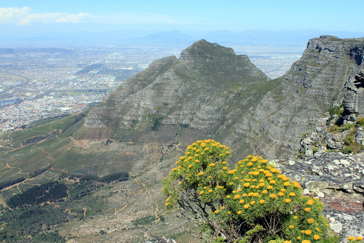 Vue de la Montagne de la Table en Afrique du Sud