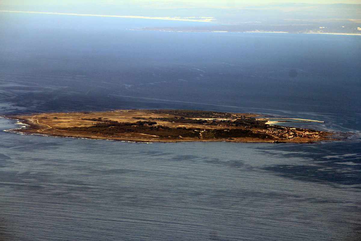 Robben Island, près de la ville du Cap