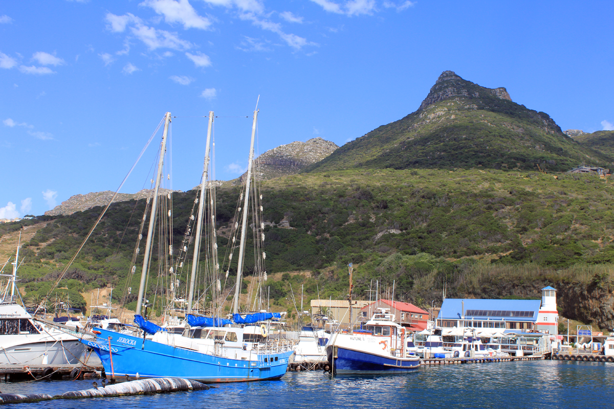 Hout Bay harbour près du Cap