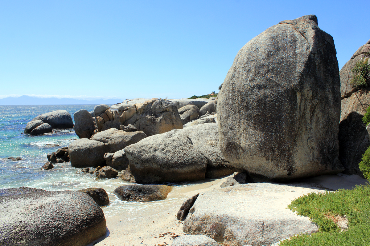Boulders beach près du Cap en Afrique du Sud