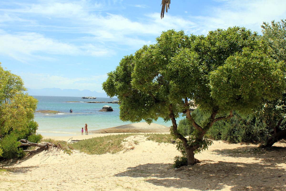 Une plage du Cap en Afrique du Sud