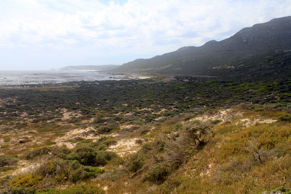 Paysage du Cap de Bonne-Espérance