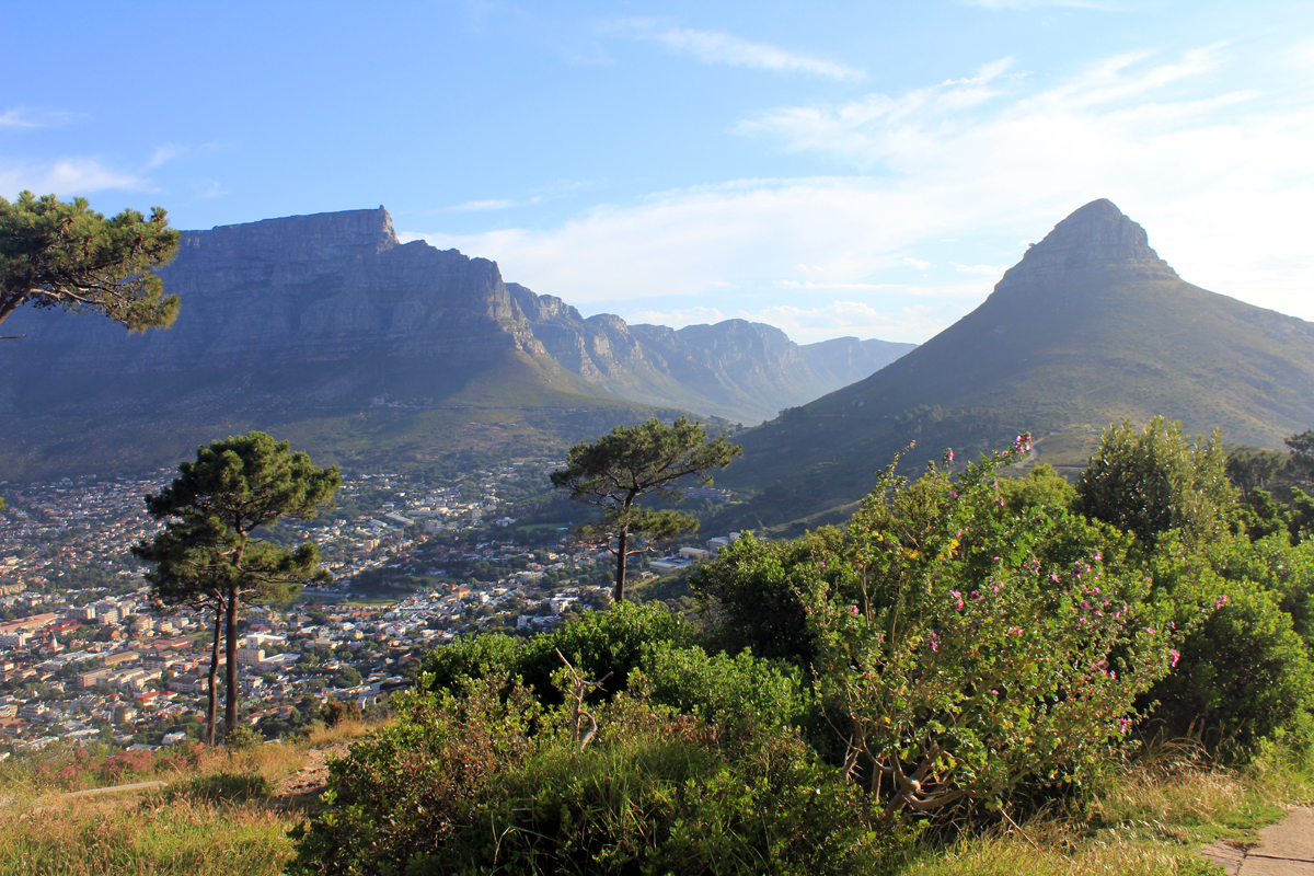 Joli paysage au Cap, Afrique du Sud