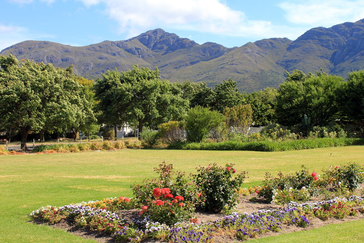 Paysage près de Franschhoek