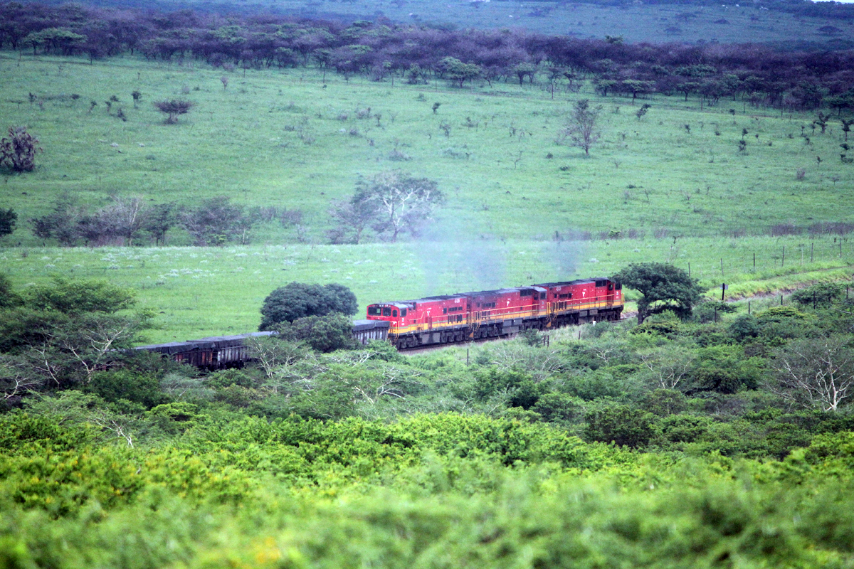 Un train typique en Afrique du Sud
