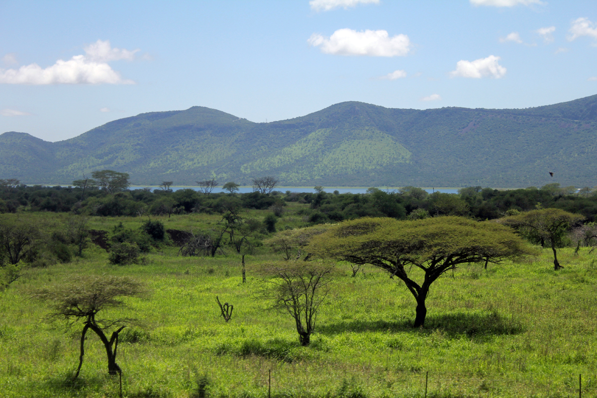 Paysage du Kwazulu-Natal