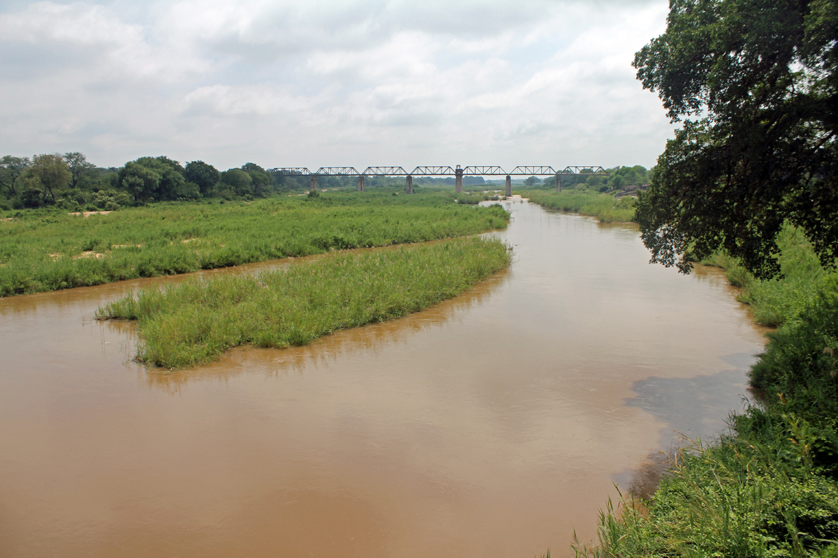 Parc de Kruger, rivière