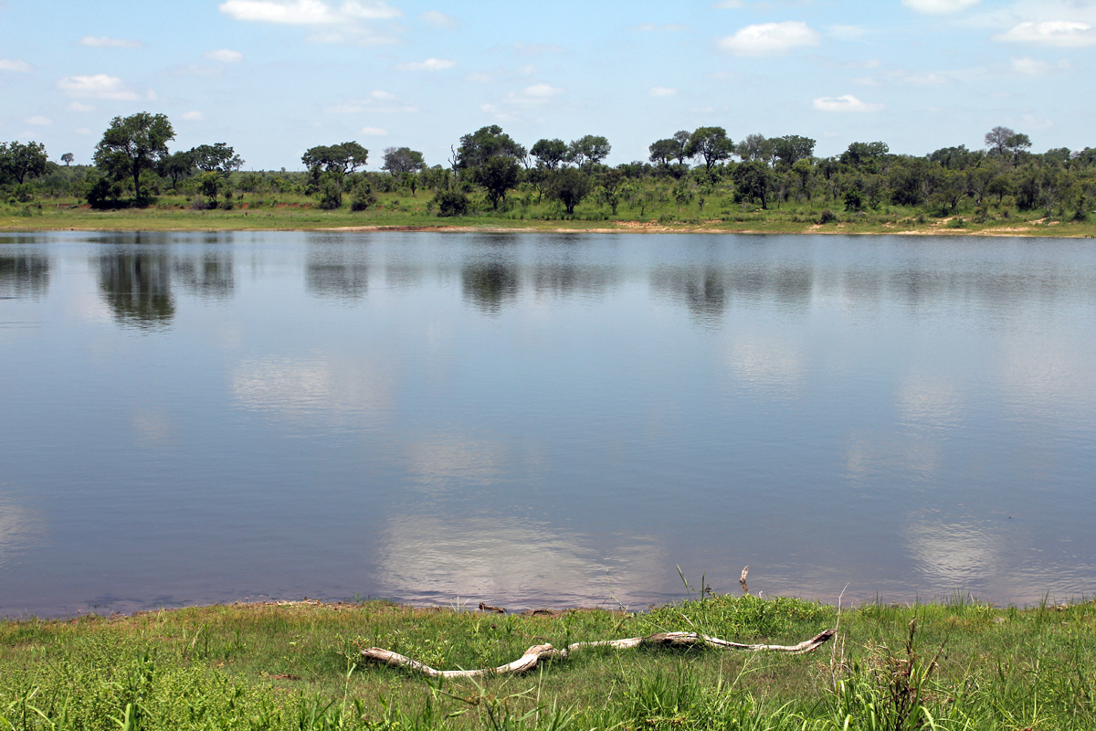 Parc Kruger, lac