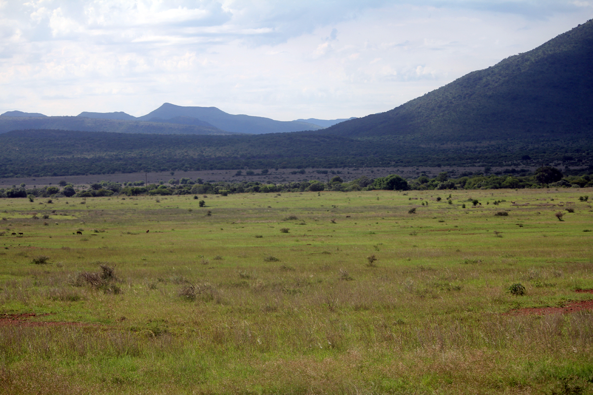 Hannah Lodge, plaine, paysage