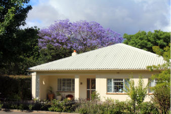 Jacaranda de Franschhoek