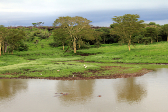 Parc de Hluhluwe