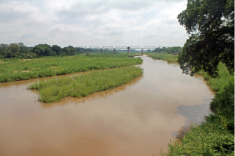 Pont de Skukuza