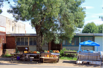 March&eacute; du Transvaal
