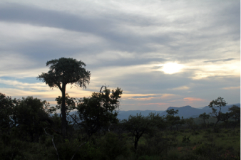 Coucher de soleil &agrave; Hannah Lodge