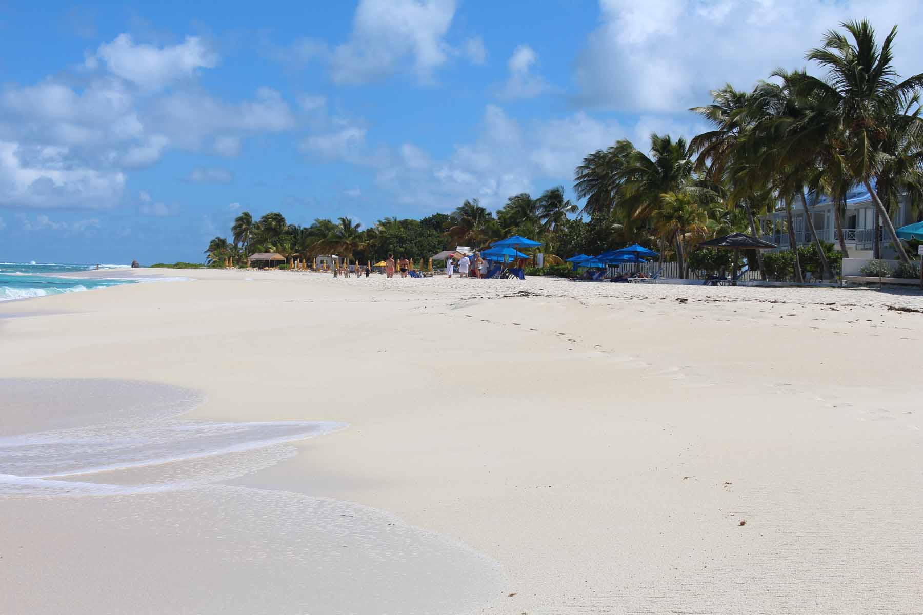 Ile d'Anguilla, la magnifique plage de Shoal Bay