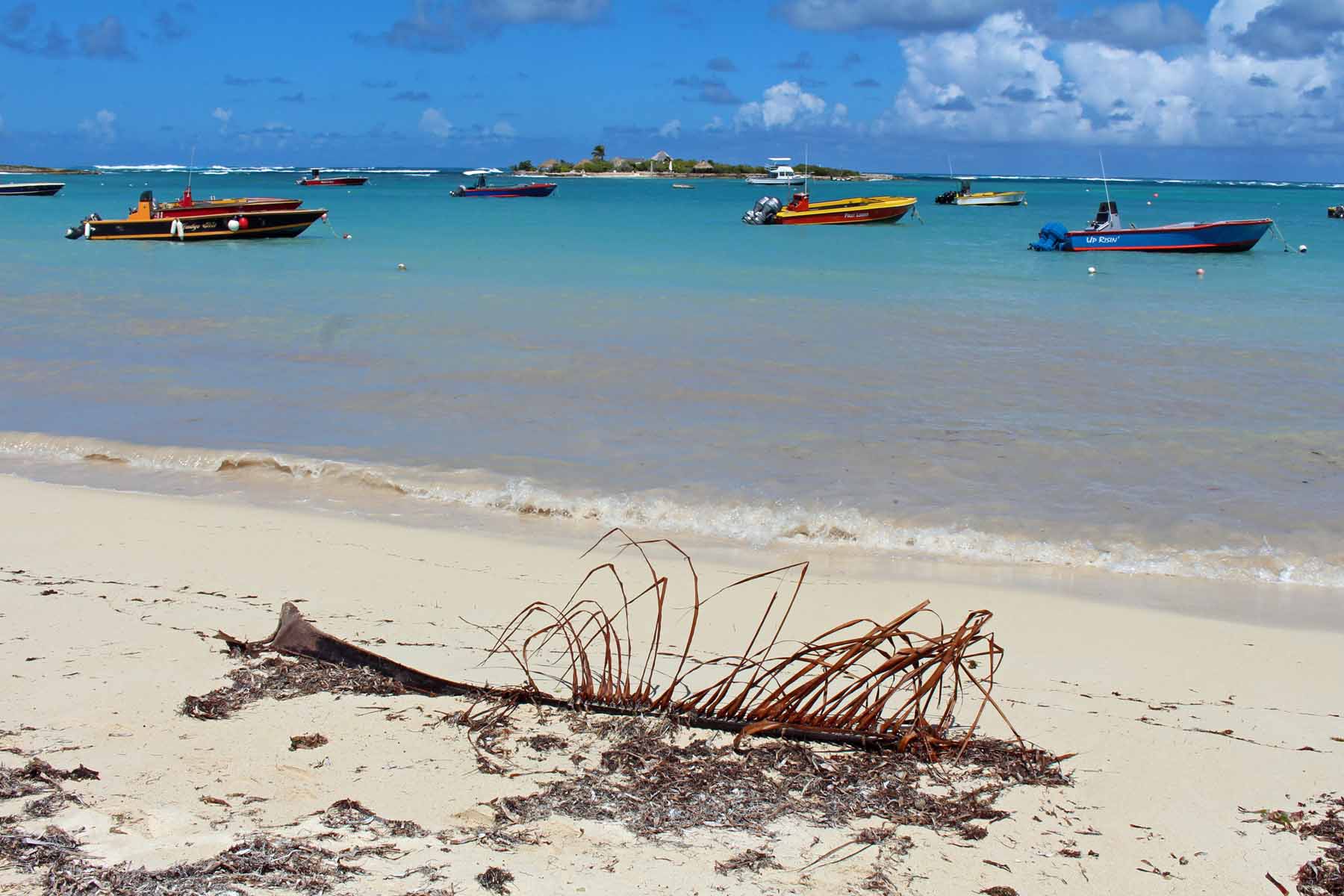 Ile d'Anguilla, Island Harbour, plage